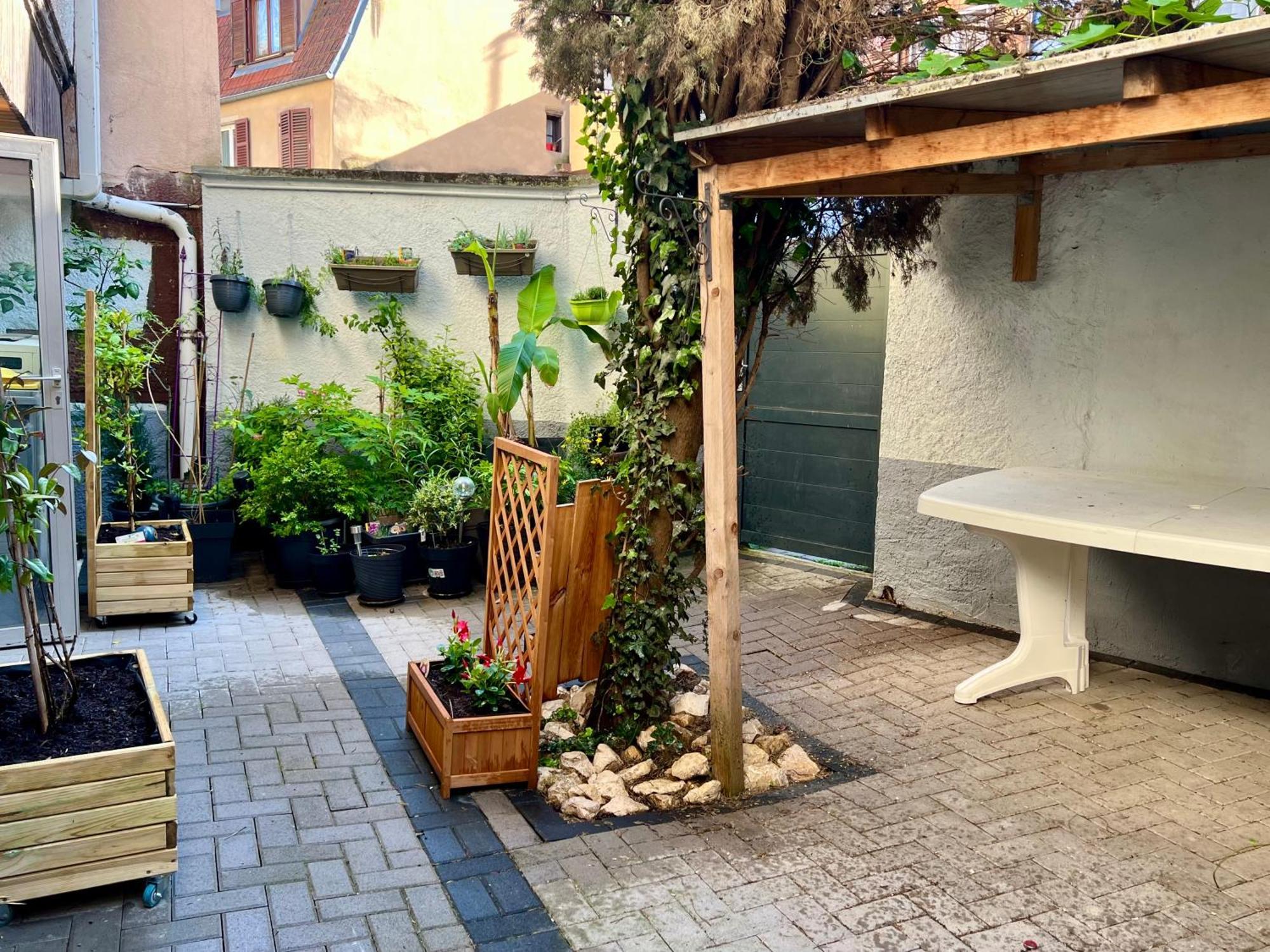 Gite Du Figuier 4 A 6 Personnes Selestat Centre-Alsace Exterior photo
