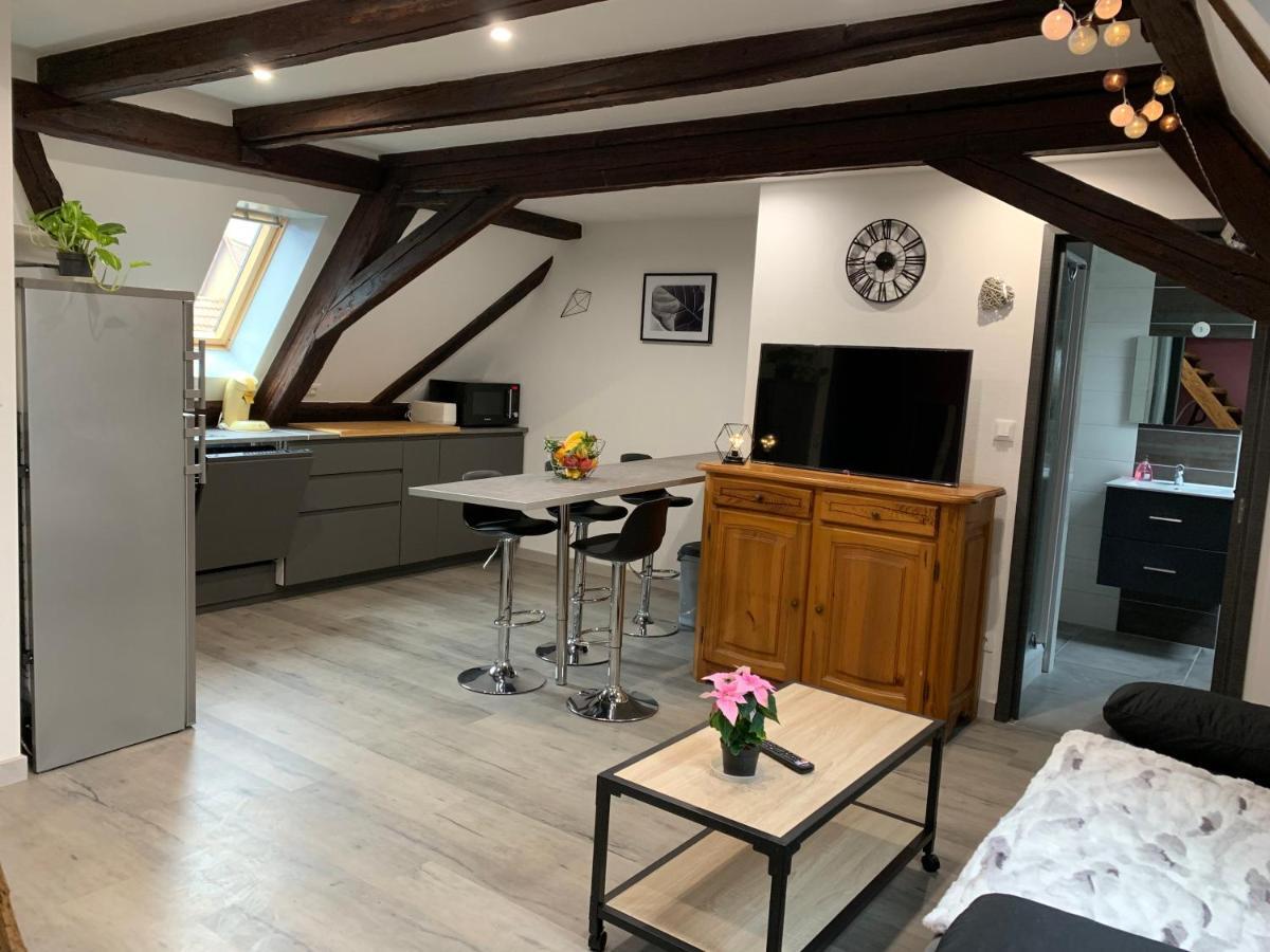 Gite Du Figuier 4 A 6 Personnes Selestat Centre-Alsace Exterior photo